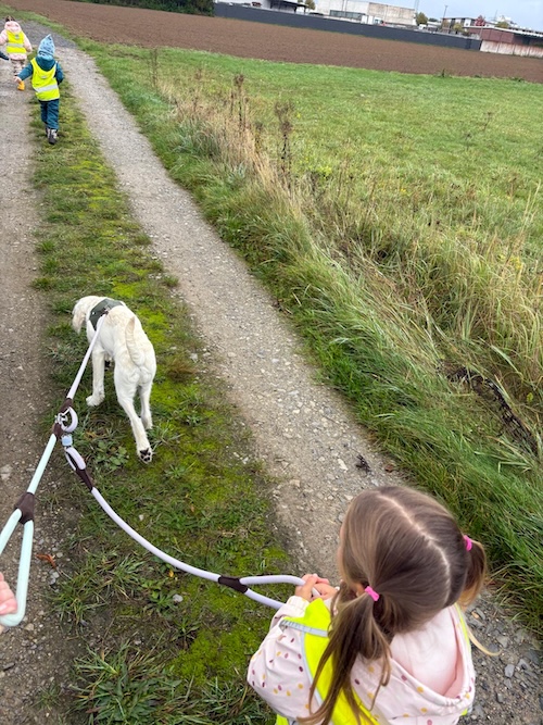Spaziergang mit Kalle